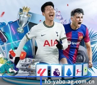 五大服务分区,信息按项目分类 - YABO